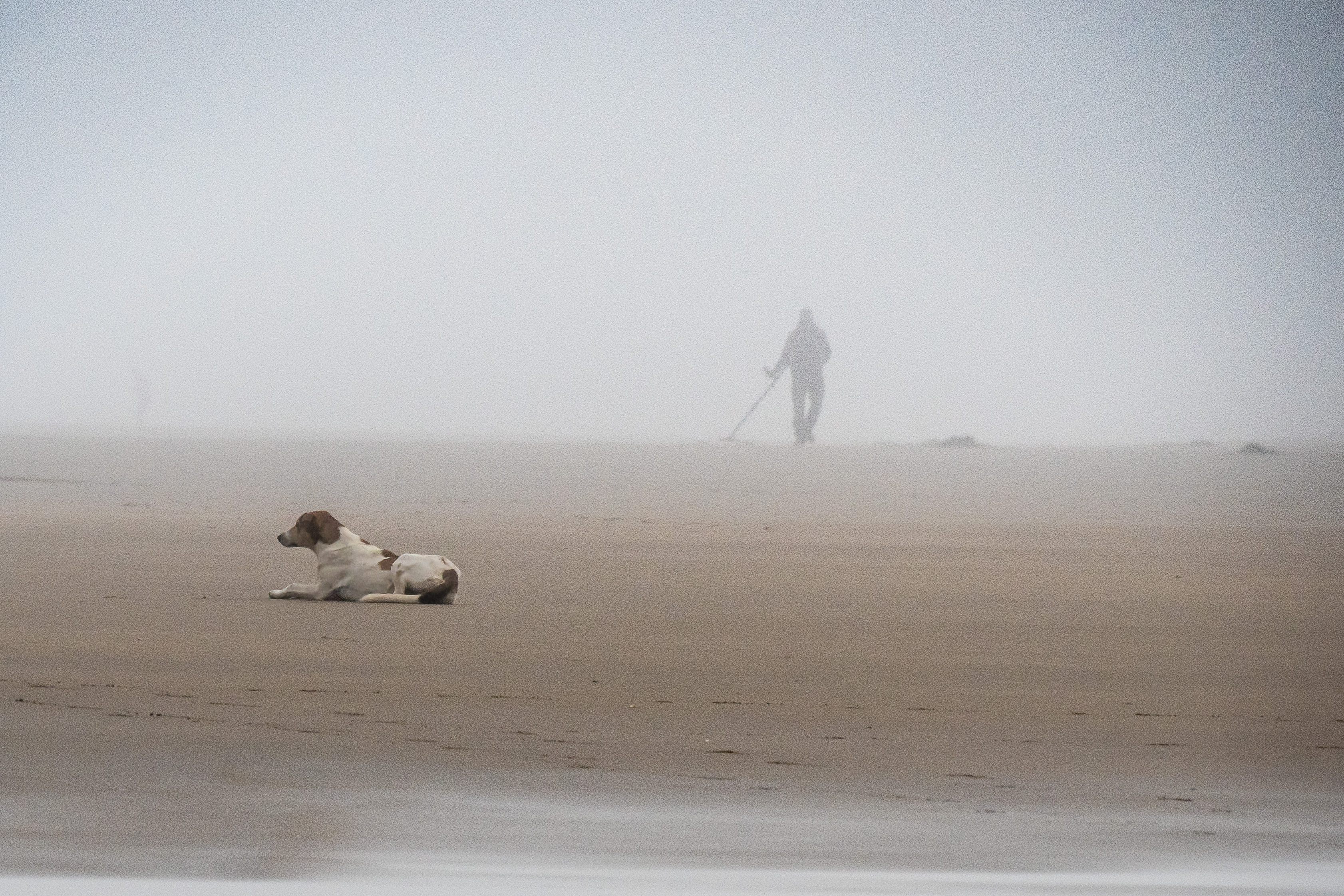 Impression - Moulay Bousselham